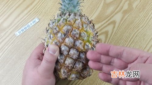 菠萝怎样保存时间长,菠萝怎么保存