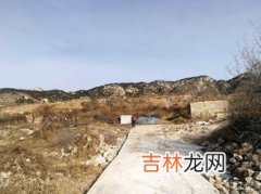 骆驼峰为什么难吃,骆驼峰为什么立不起来？