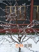 下雪了小树像什么房子像什么山像什么,比喻句 下雪了，小树像？房子像？大山像？像什么？