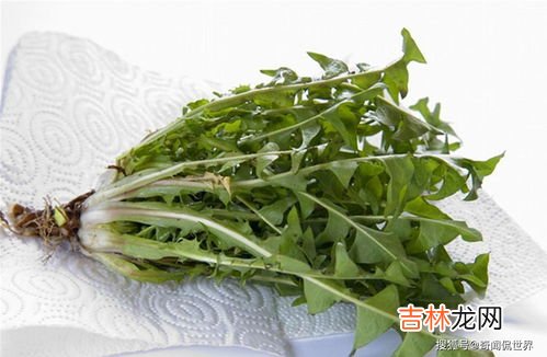 藏雪莲泡水喝的禁忌,天山雪莲的功效与作用_天山雪莲的禁忌?