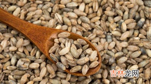 青稞酒跟白酒有啥区别,青稞酒到底怎么样