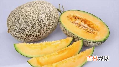 哈蜜瓜还是哈密瓜,蜜瓜和哈密瓜完全不一样吗?