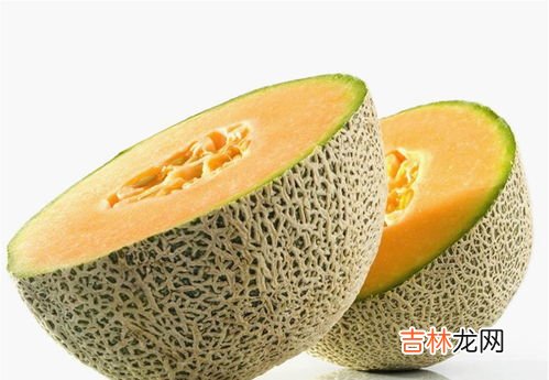 哈蜜瓜还是哈密瓜,蜜瓜和哈密瓜完全不一样吗?