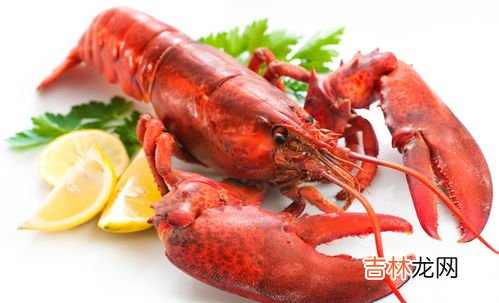 波士顿龙虾放一晚上会死吗,活的波士顿龙虾,放冰箱冷藏室一天会死吗?
