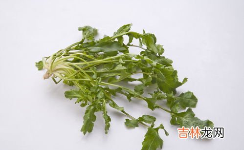 荠菜煮鸡蛋煮多久,荠菜煮鸡蛋煮多久 荠菜煮鸡蛋相关介绍