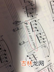 molto音乐术语什么意思,molto音乐术语