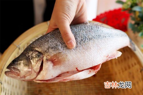 感冒为什么不能吃鱼,感冒喉咙痛能吃鱼吗
