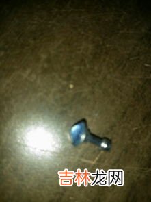 蛋白虫是干什么用的,蛋白虫有什么用?