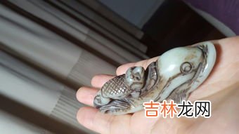 蛋白虫是干什么用的,蛋白虫有什么用?