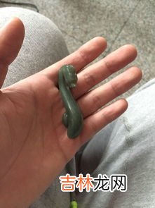 蛋白虫是干什么用的,蛋白虫有什么用?