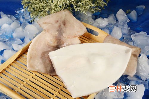 百叶可以冷冻保存吗,牛百叶可以冷冻吗？牛百叶怎么保存