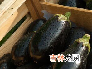 烤生鸡蛋怎样防止爆裂,怎样才能把带壳生鸡蛋放到电烤箱里烤，且烤不碎？