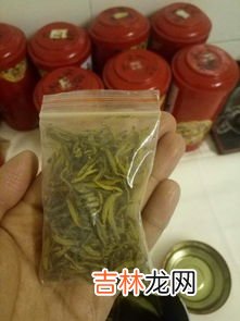 黄金芽和黄金叶的区别,黄金芽大叶子好还是小叶子好