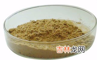 迈之灵片，功效与价格是怎样的,迈之灵多少钱一盒?