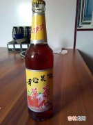 果啤是碳酸饮料还是酒,果啤是碳酸饮料吗？不是口感介于酒精和饮料