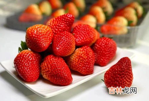过年吃草莓的寓意,草莓有什么寓意