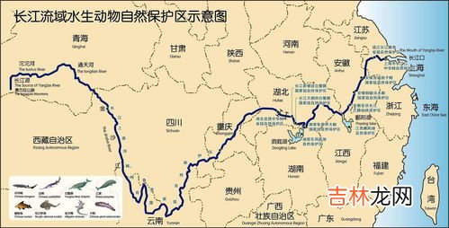 长江流域经过哪些省份,长江经过我国多少个省市