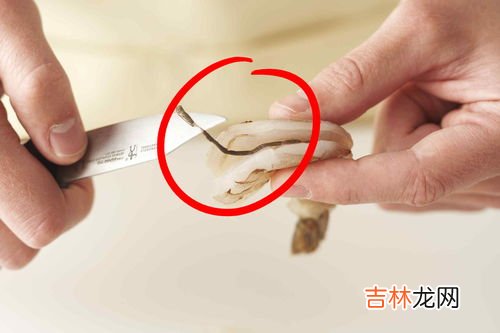 虾线是什么部位,鸡尾虾的线在哪个位置?