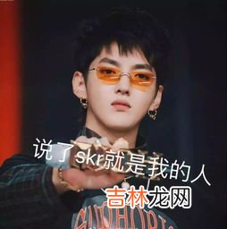 skr什么意思怎么读,skr什么意思梗