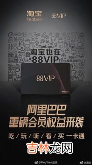 vip的全称是什么,什么是VIP