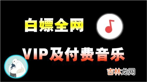 vip的全称是什么,什么是VIP