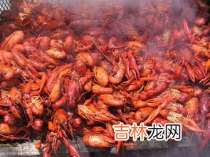 小龙虾为什么不能吃 小龙虾到底能吃还是不能吃,小龙虾能吃吗?