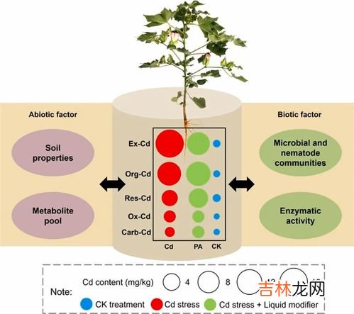 线虫是微生物吗,污水处理厂，镜检中出现的线虫 的学名叫什么？