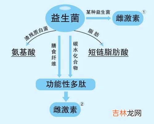 益生元的作用及功能,益生元有什么作用？早上空腹能喝吗？