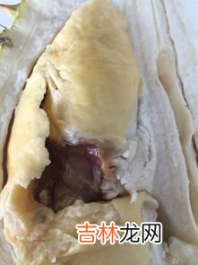 榴莲肉发黑怎么回事,榴莲肉有点黑了还能吃吗