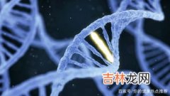 301核基因干细胞有效果吗,干细胞治疗无精症有效果吗