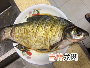 武昌鱼是不是鳊鱼,武昌鱼是什么鱼