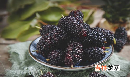 桑葚的颜色弄到手上怎么洗,桑葚染到手上怎么洗才能干净