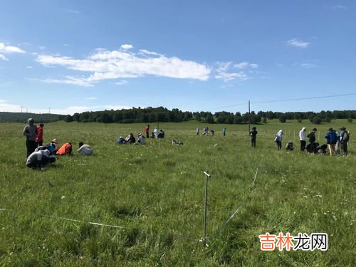 草原生态系统的特点,草原生态系统有什么特征？