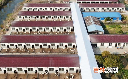 海门是属于哪个省哪个市,海门是属于哪个省哪个市