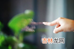 loe玻璃是什么玻璃,loe玻璃有什么功能,loe玻璃是什么玻璃