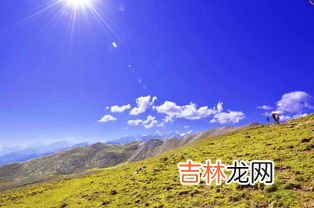 zealand是哪个国家,new zealand是哪个国家?