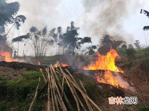 为什么不让燃放烟花爆竹,为什么不能放烟花爆竹?