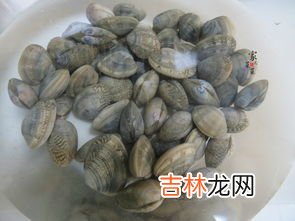 生蚝能放几天,生蚝能放多久 关于生蚝保存时间介绍