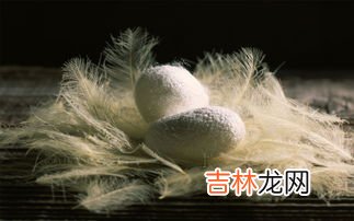 蚕茧变成蛾后需要怎么处理,蚕茧变成蛾后需要怎么处理