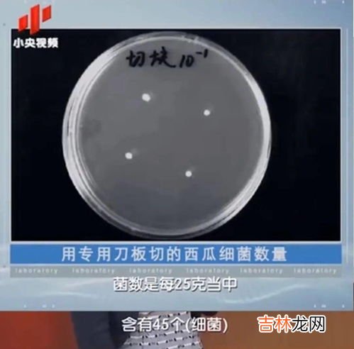 过夜的西瓜放冰箱还能吃吗,隔夜西瓜放冰箱能吃吗,隔夜西瓜放冰箱能吃吗!1