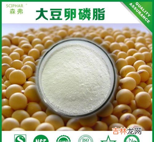 大豆卵磷脂对胎儿的副作用,大豆磷脂对人体有害吗?