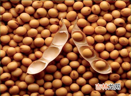 大豆卵磷脂对胎儿的副作用,大豆磷脂对人体有害吗?