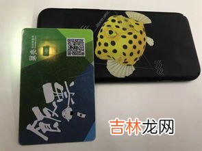 饭卡消磁自己怎么恢复,饭卡消磁了怎么恢复钱还能找到吗?