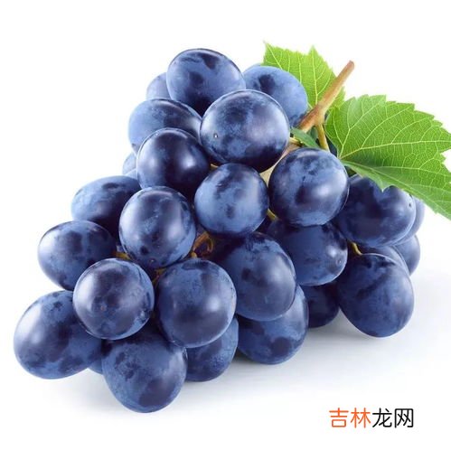 鸡蛋能和葡萄一起吃吗,吃葡萄同时可以吃鸡蛋?