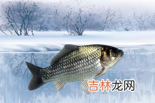冬天杀好的鱼放在外面会坏吗,冬天鱼挂二三天会变质吗？