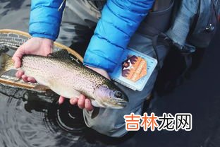 冬天杀好的鱼放在外面会坏吗,冬天鱼挂二三天会变质吗？
