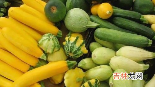 东瓜与冬瓜一样吗,冬瓜为什么不叫东瓜