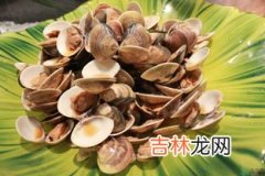 蛤蜊可以放冰箱冷冻吗,花蛤能放冰箱冷藏吗