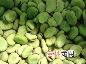 蚕豆速冻了5个月还能吃吗,新鲜蚕豆冷冻后还可以吃吗