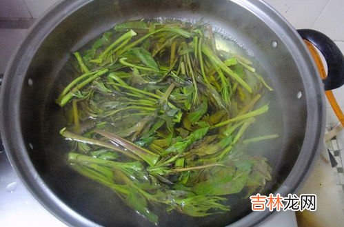 腌香椿对身体的害处,香椿对人体有害吗？